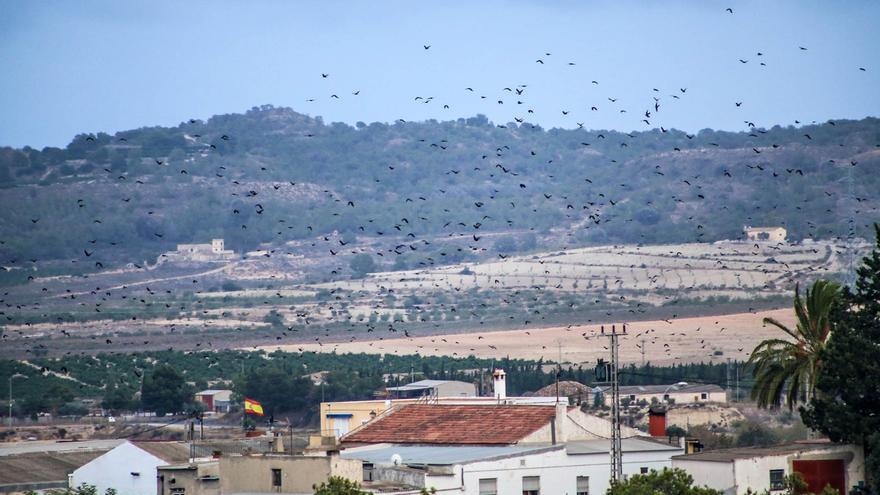 La Generalitat saca a exposición pública otro proyecto de planta solar en Torremendo