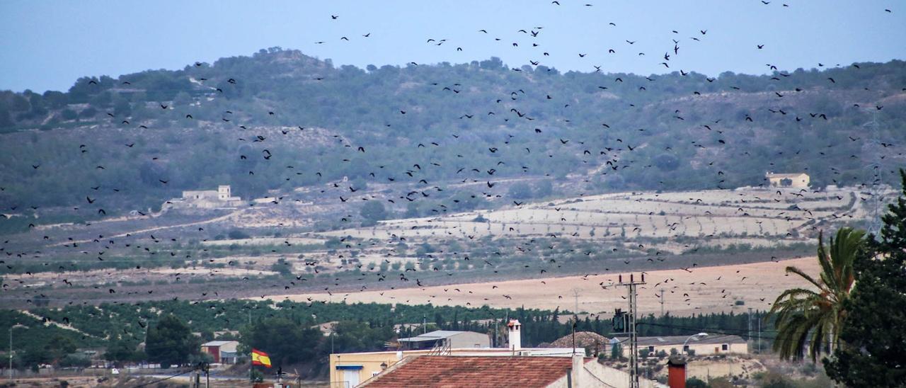 Núcleo poblacional de Torremendo