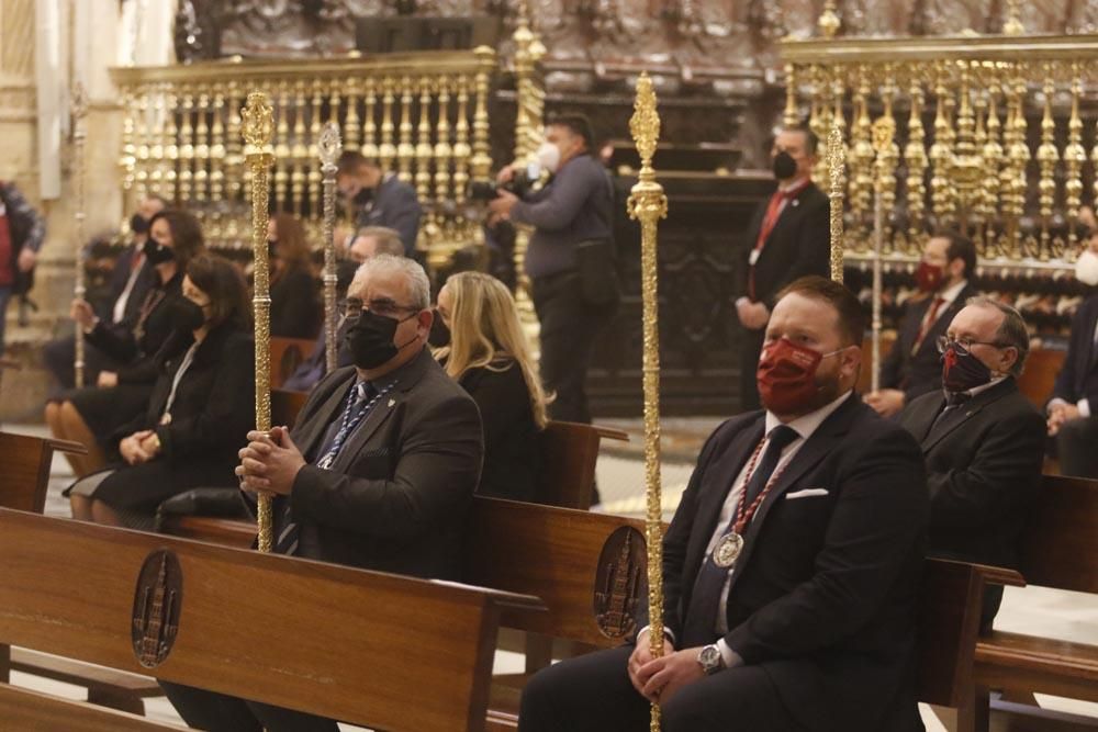 En imágenes, el Vía Crucis de las cofradías