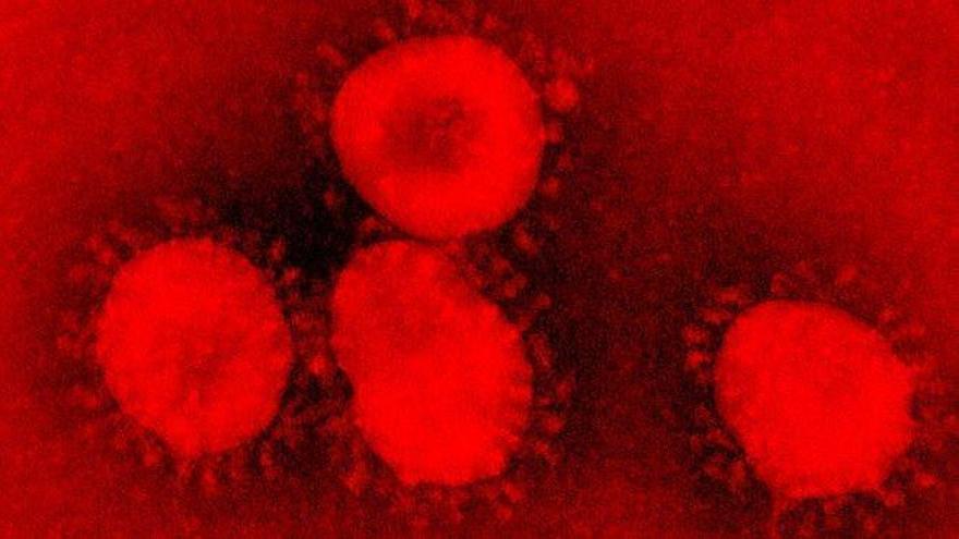 Coronavirus: Todo lo que se sabe (y hay que saber) del covid-19