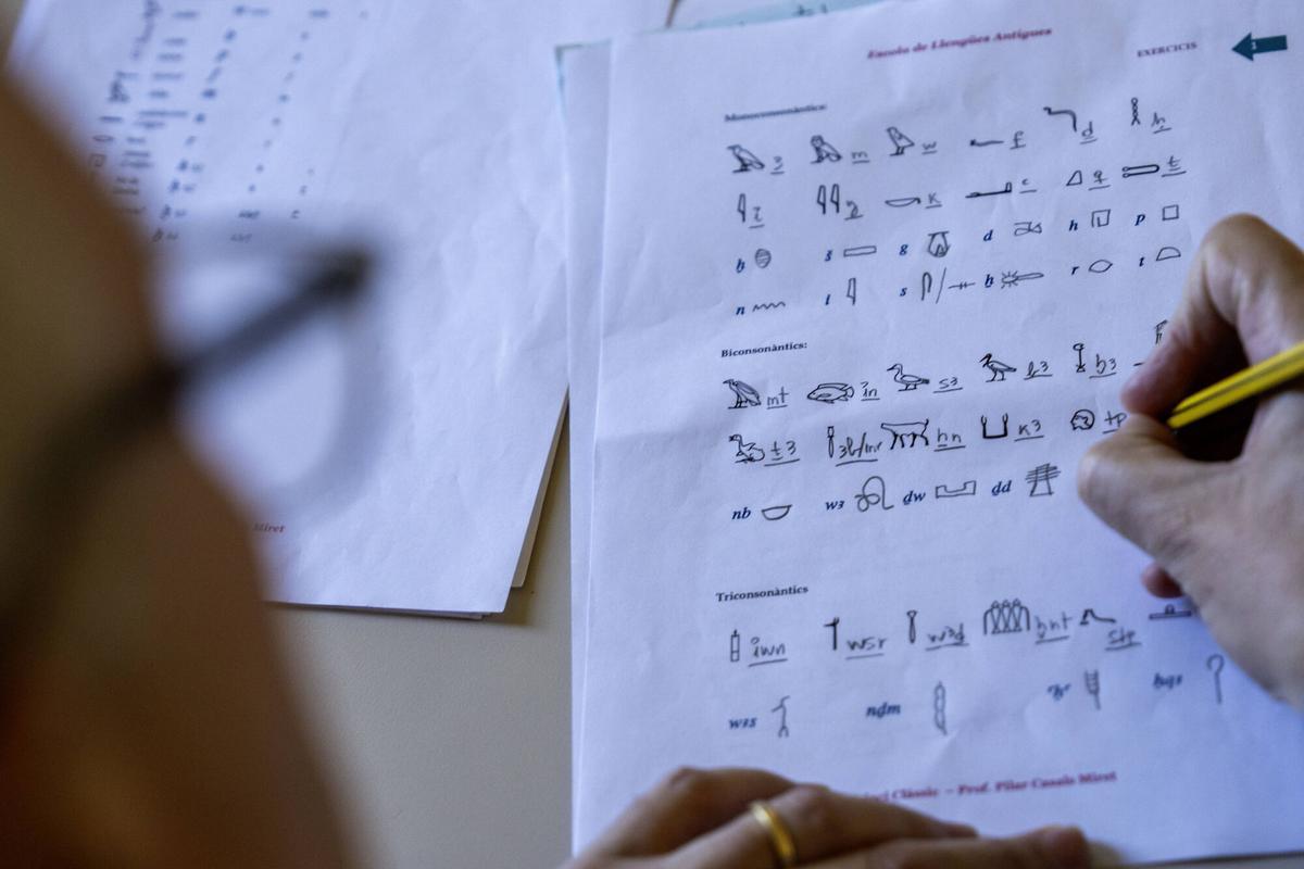 Los apuntes de un estudiante de egipcio antiguo.