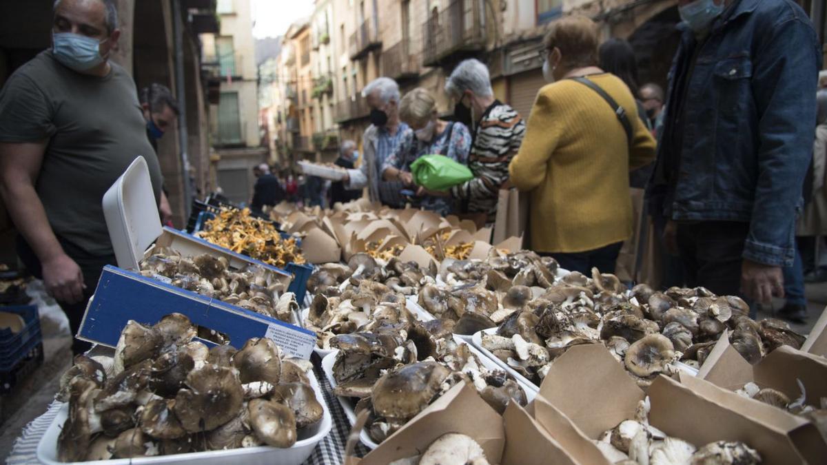 Una de les parades de venda de bolets a la plaça del Mercat de Cardona, ahir | MIREIA ARSO