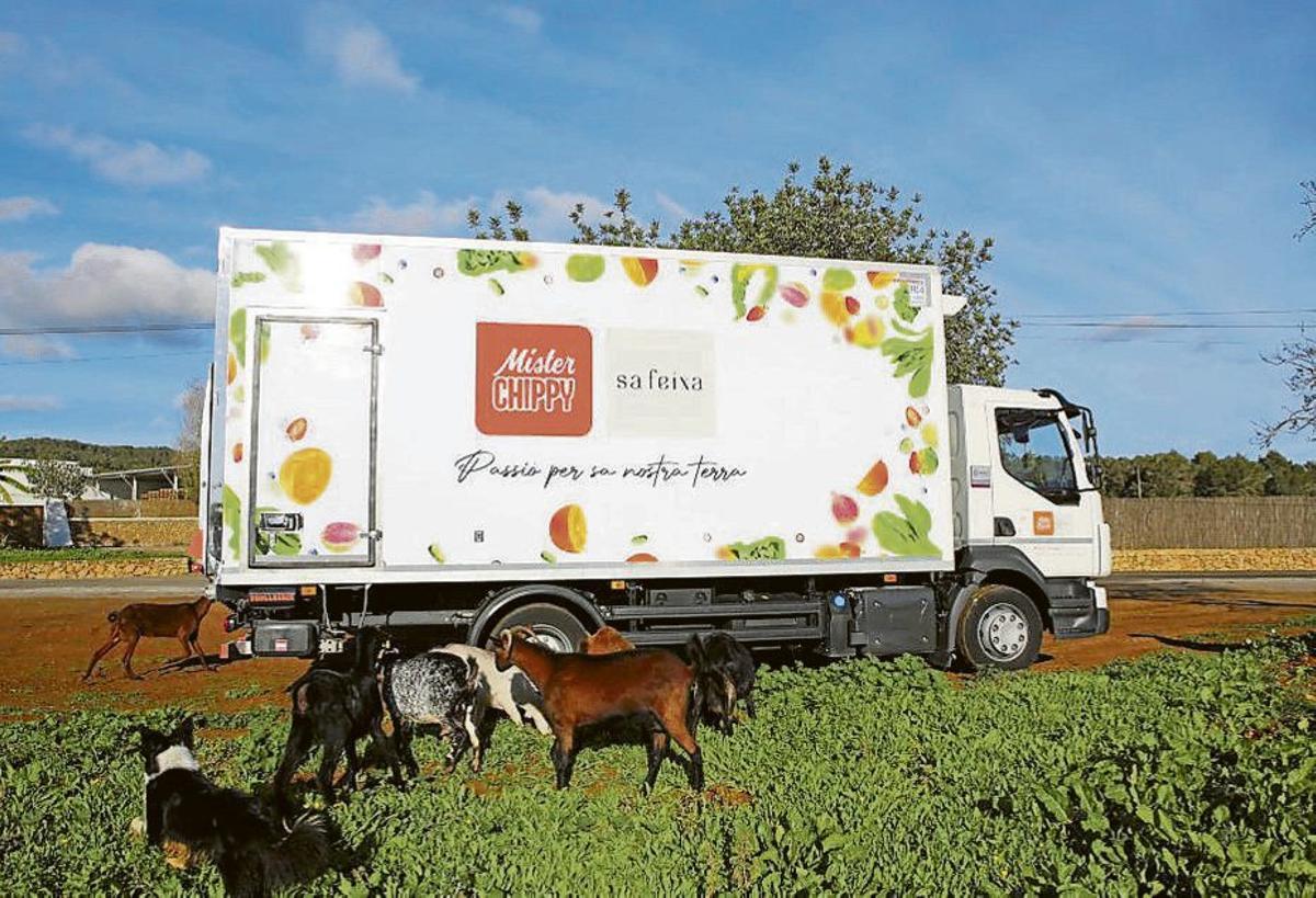 One of the Mister Chippy and Sa Feixa lorries.