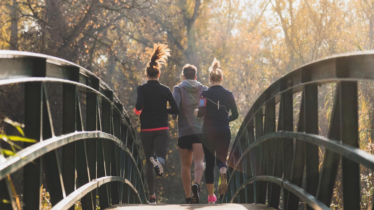Un grupo de corredores haciendo running