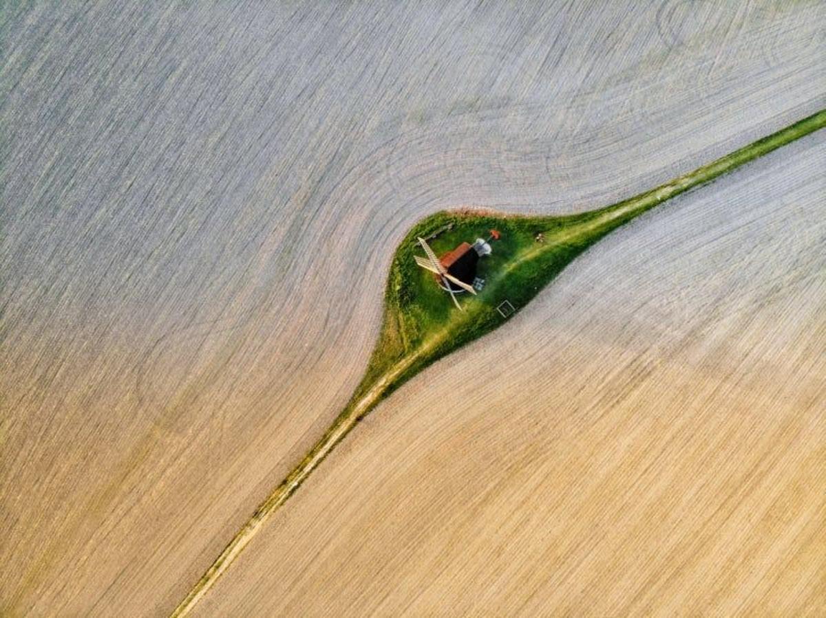 Una gota de agua sobre una briza de hierba