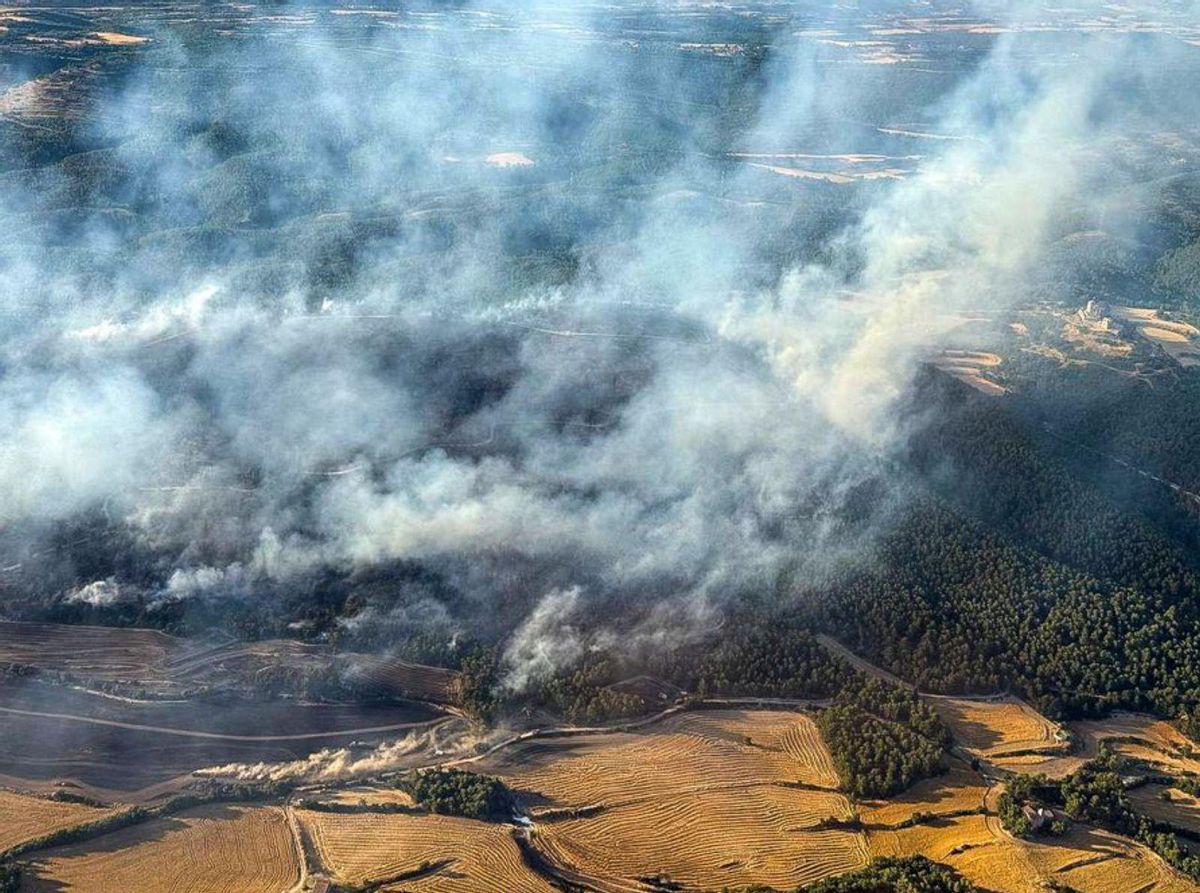Un incendi a l’Anoia crema 150 hectàrees Un incendi a l’Anoia crema 150 hectàrees