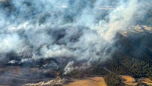 Un incendi a l’Anoia crema 150 hectàrees
