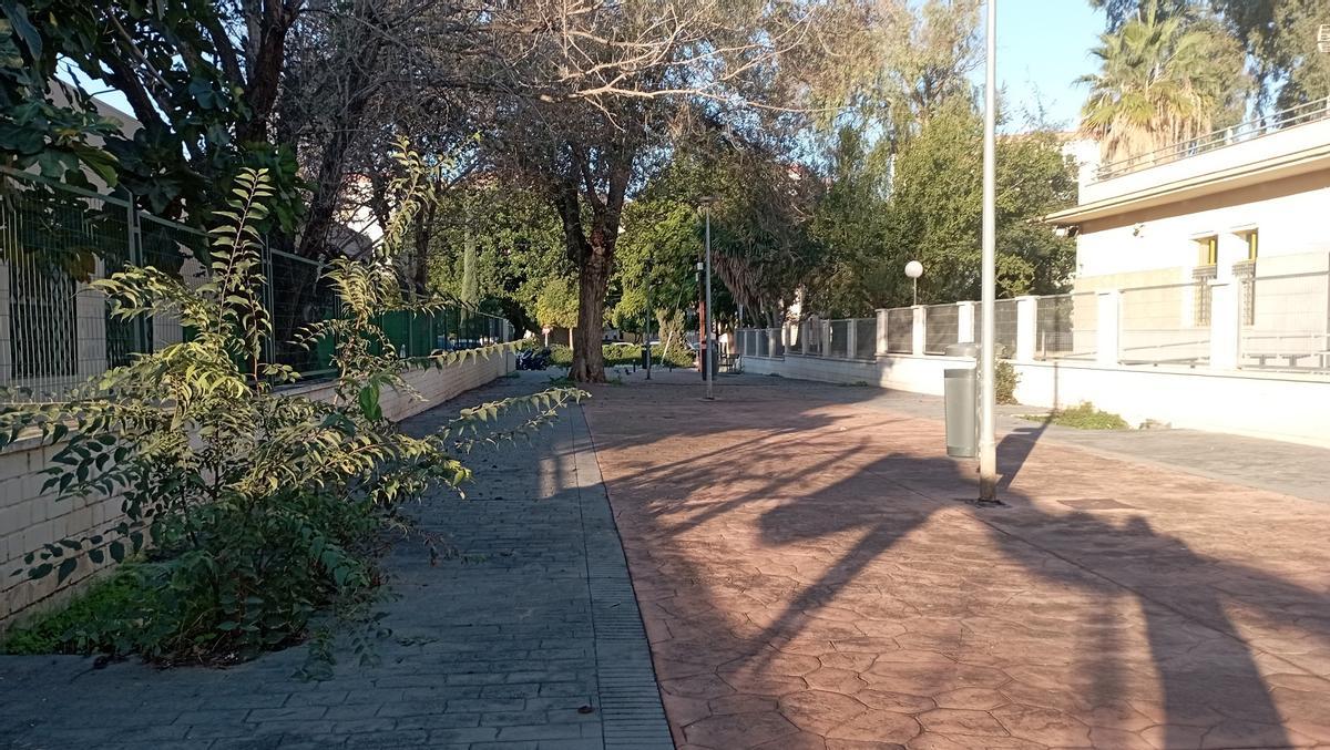 La calle sin nombre de La Palma-Palmilla, la pasada semana.