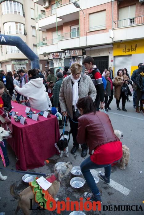 II Carnavaton en Cehegín