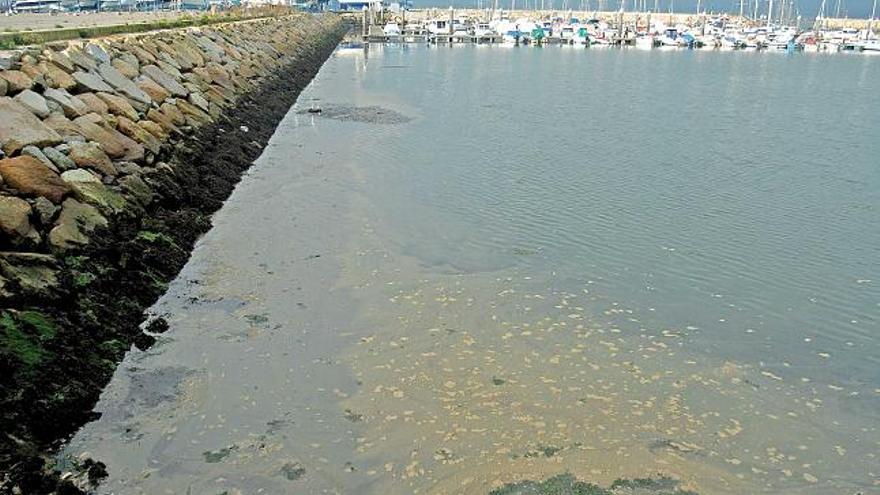 El vertido de grasa y aceite detectado ayer en aguas de Vilanova de Arousa.