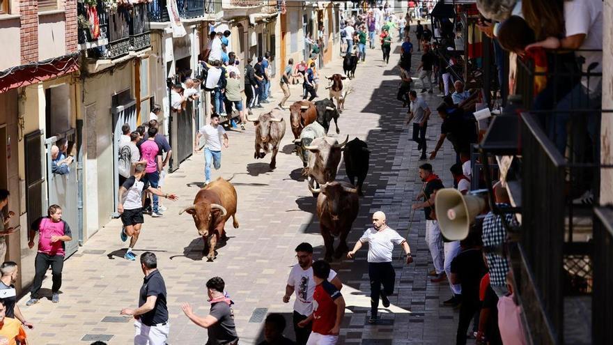 Vídeo: Encierro de las fiestas de Santa Quitèria en Almassora