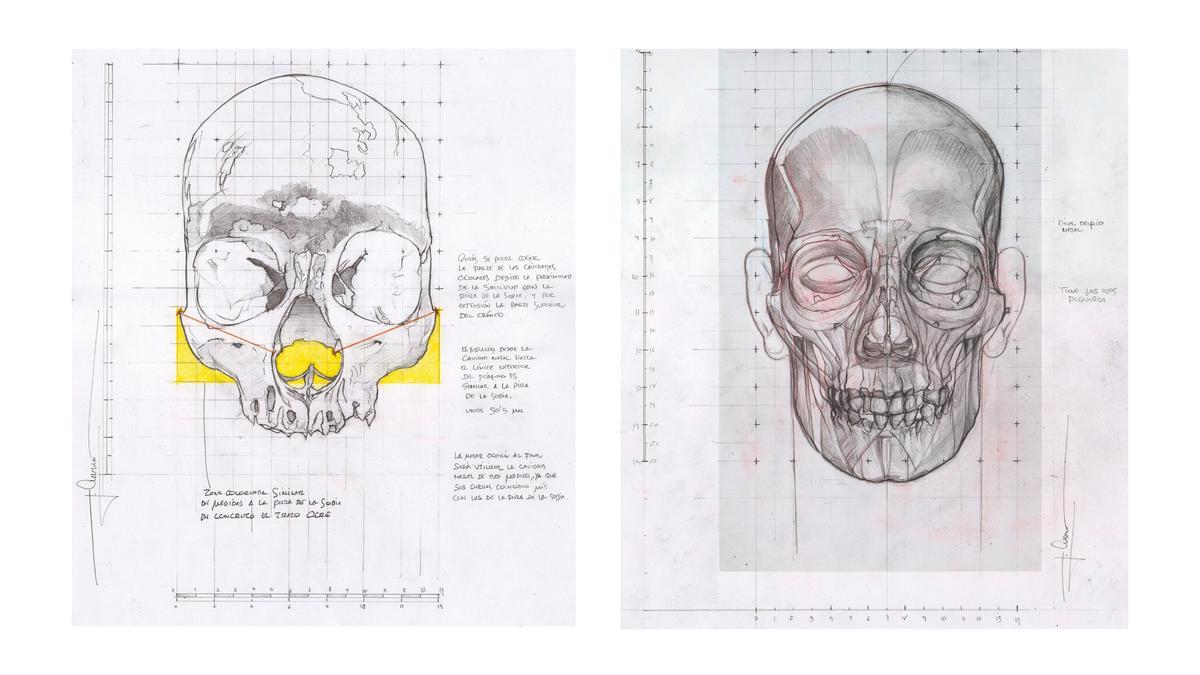 A la izquierda, el cráneo del individuo, junto a uno de los cráneos que se emplearon como base para la creación del retrato.