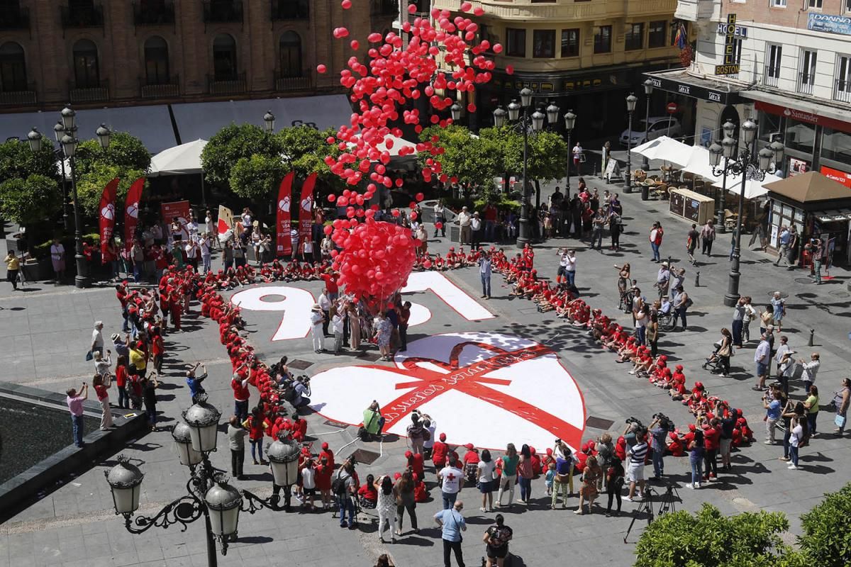 Fotogalería / Semana del Donante del hospital Reina Sofía