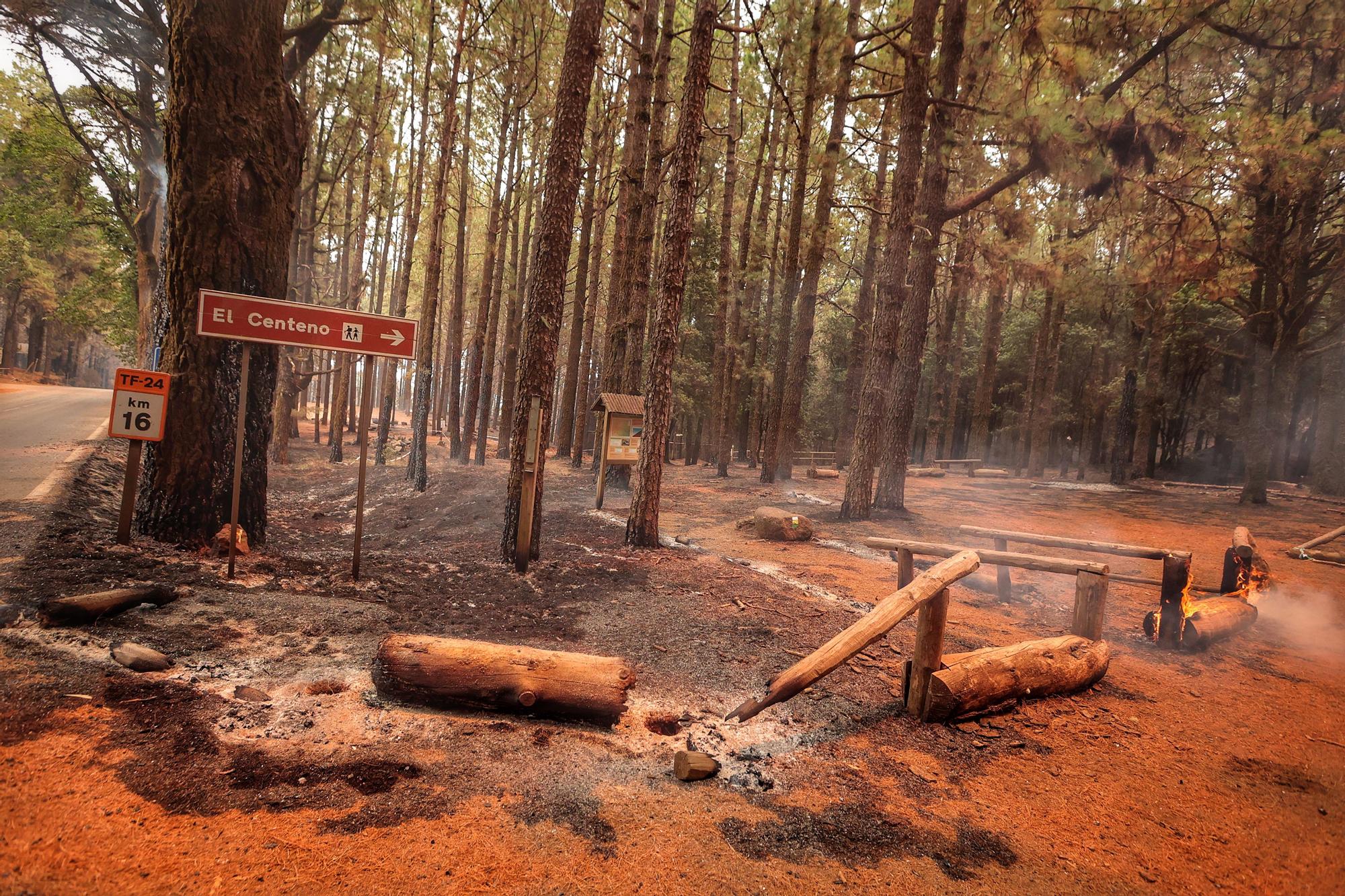 Evolución del incendio en Tenerife