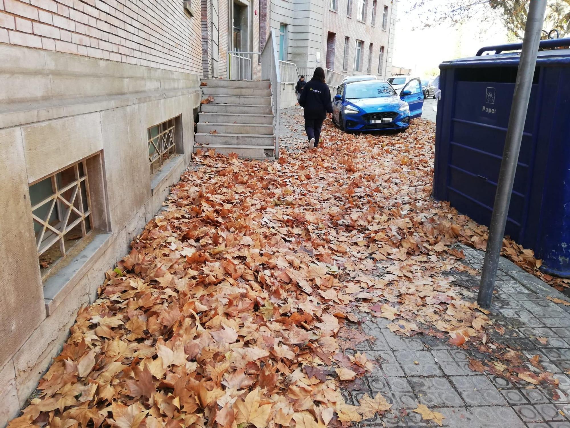 Els efectes del temporal de vent, a Manresa