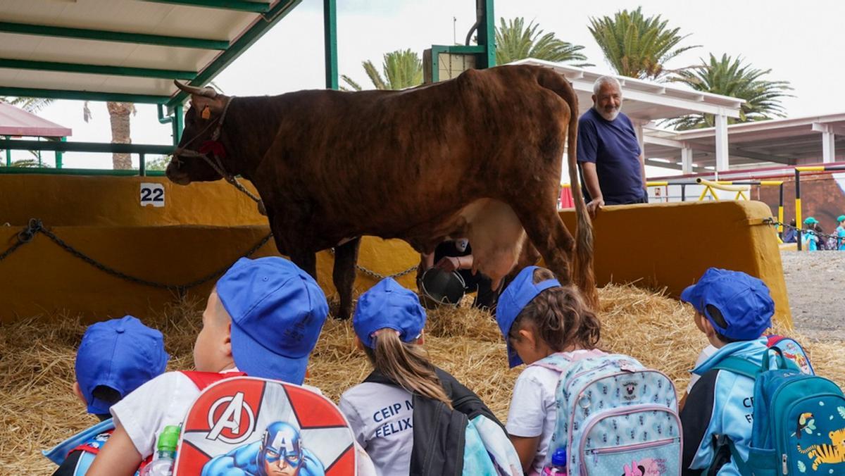 Más de 1.200 niños y niñas participan en las actividades de la Feria Escolar del Sector Primario de la Granja del Cabildo.