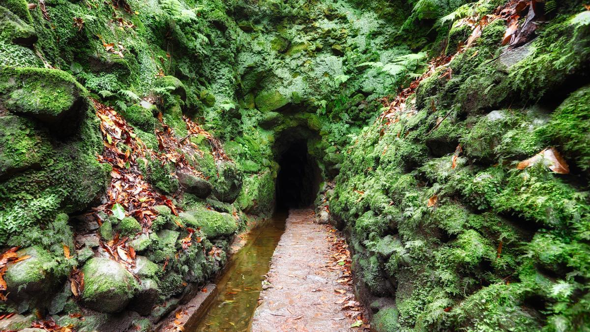 Levadas de Madeira, los senderos donde se esconden las hadas