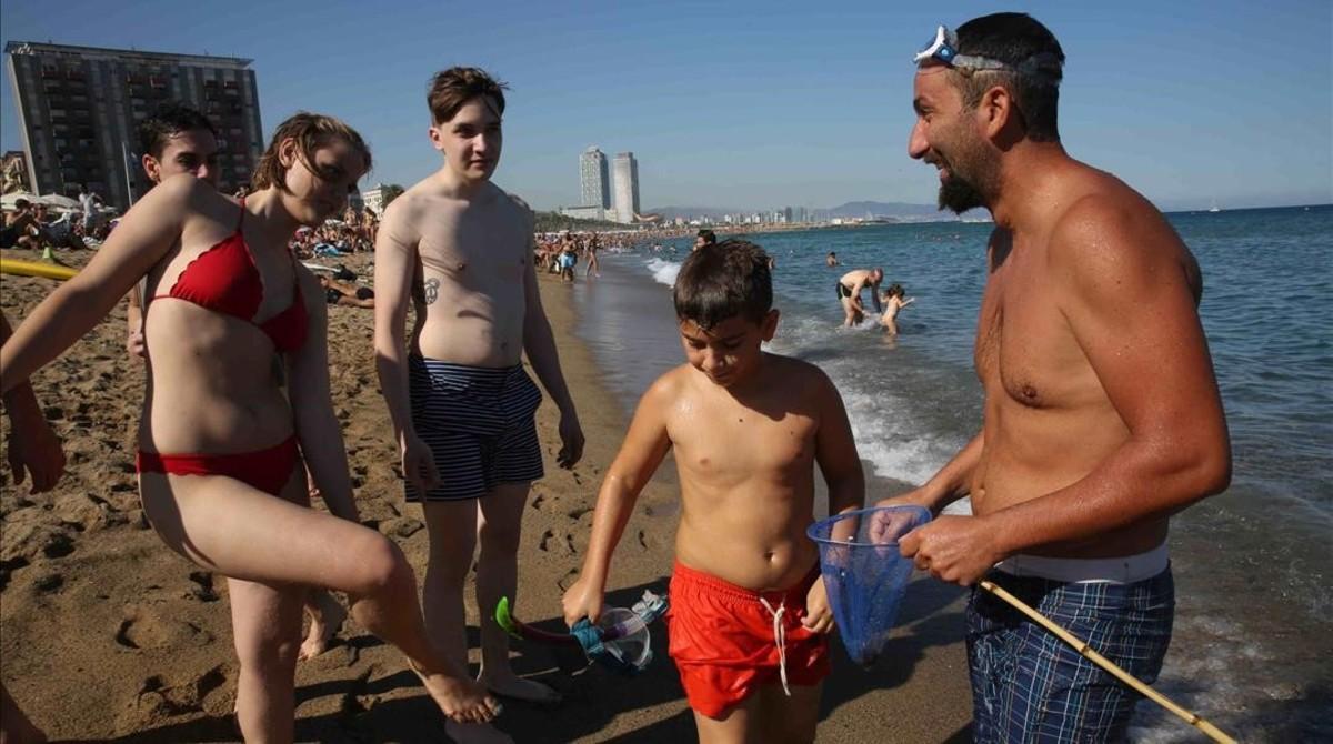 cjane35004159 barcelona 08 08 2016 sociedad barcelona medusas en las playa160808190152