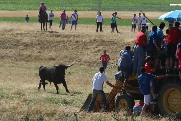 Encierro en Guarrate