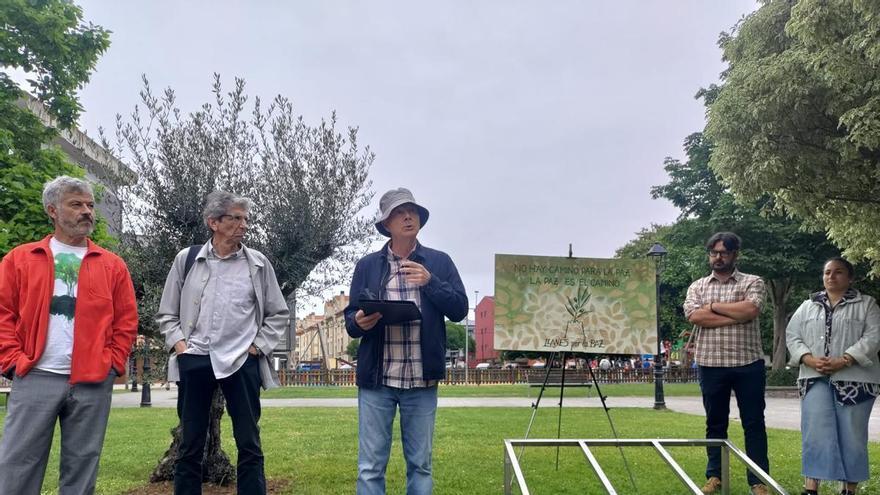 Un nuevo símbolo de convivencia echa raíces en el parque de Posada Herrera, en Llanes