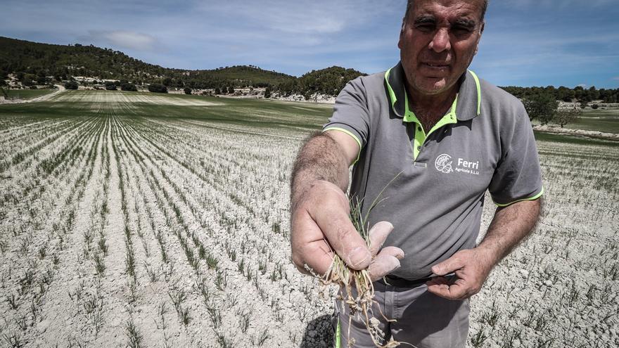 La sequera és el principal problema climàtic que preocupa a la població