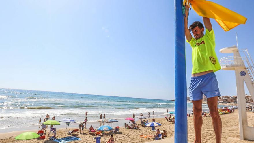 Un socorrista instala la bandera amarilla en la playa de La Mata/ Foto Tony Sevilla