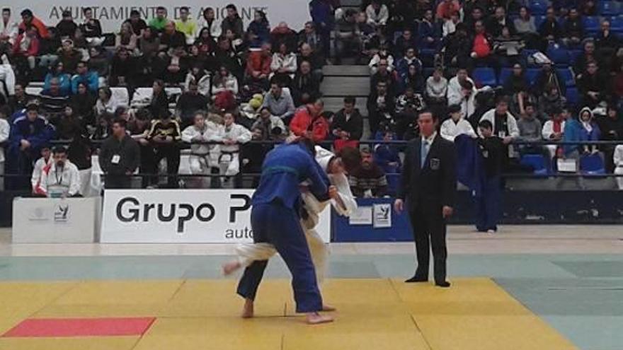 Alicante, capital del judo formativo