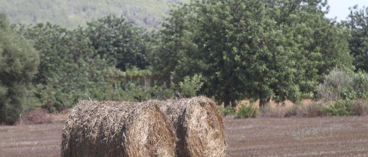 Desde Medio Ambiente señalan que los recursos hídricos son limitados.