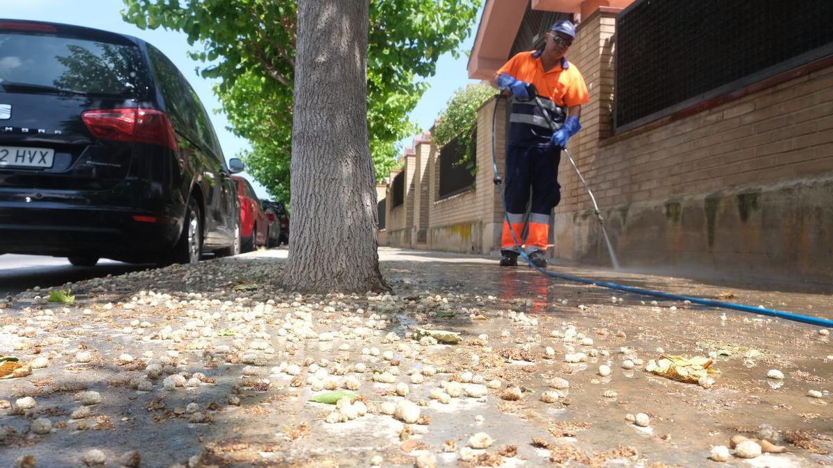 Un operario limpiando restos de moras en la calle Goleta