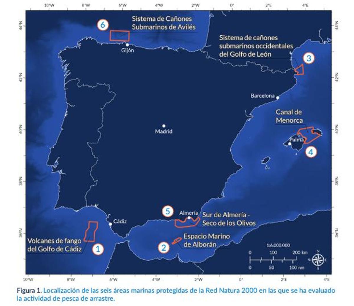 Áreas marinas en las que se ha comprobado la acción de los arrastreros, pese a estar teóricamente protegidas