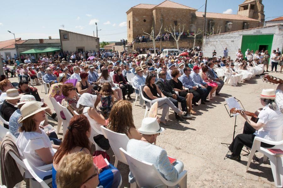 Romería de la Virgen del Viso en Bamba