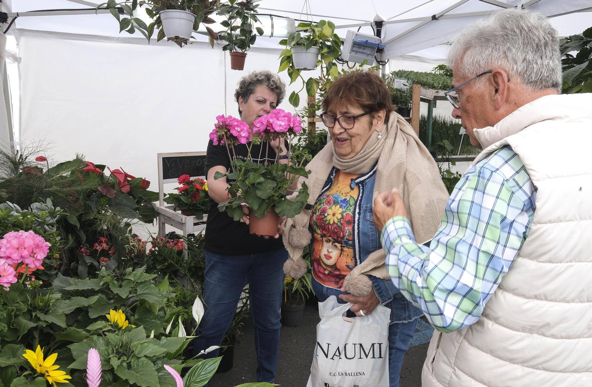 Feria Enorte 2024 en Gáldar