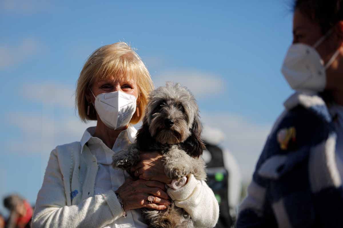 Bendición de animales en Sant Antoni