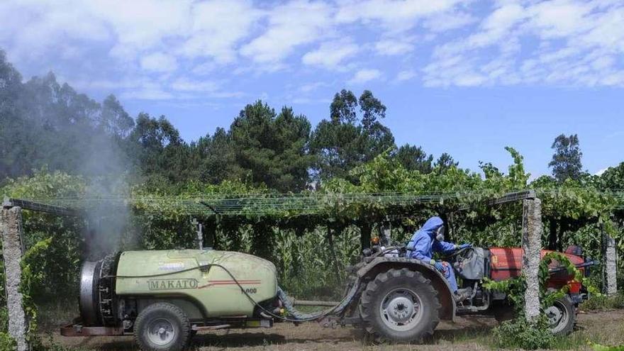 Un agricultor con su tractor sulfatando unas parras.