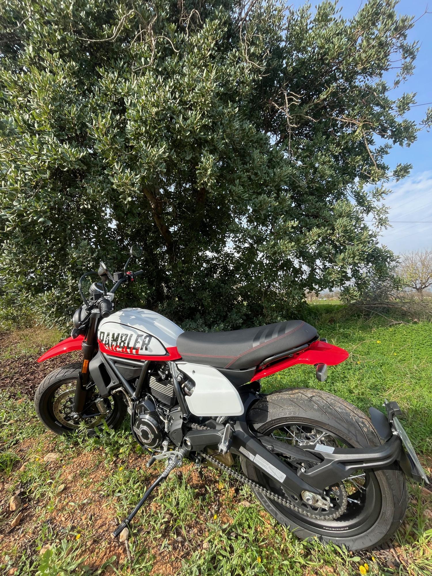 Una italiana apasionadamente divertida: Ducati Scrambler Urban Motard