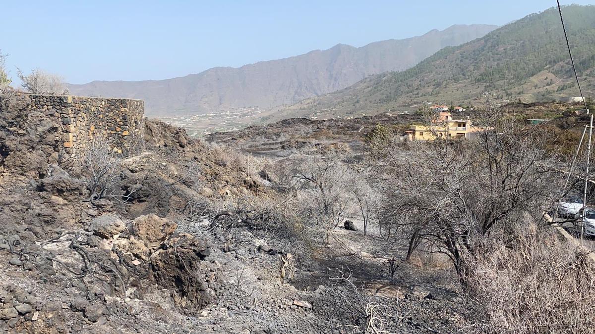 Zona afectada por el incendio en La Palma.