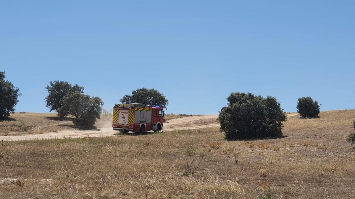 Fotogalaría | Accidente de avioneta cerca de Mérida