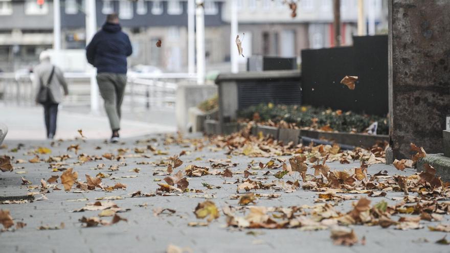 Llega el otoño, apetece leer: Lleva contigo LA OPINIÓN A CORUÑA