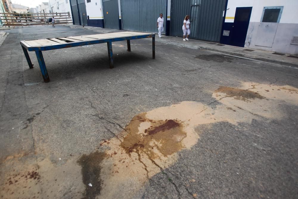 Un joven recortador, Rubén Quintanar, muere cornado por un toro en Paiporta