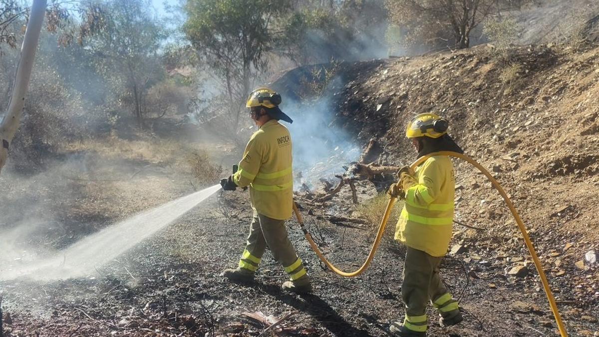 Bomberos del Infoca en la zona del incendio forestal de Mijas