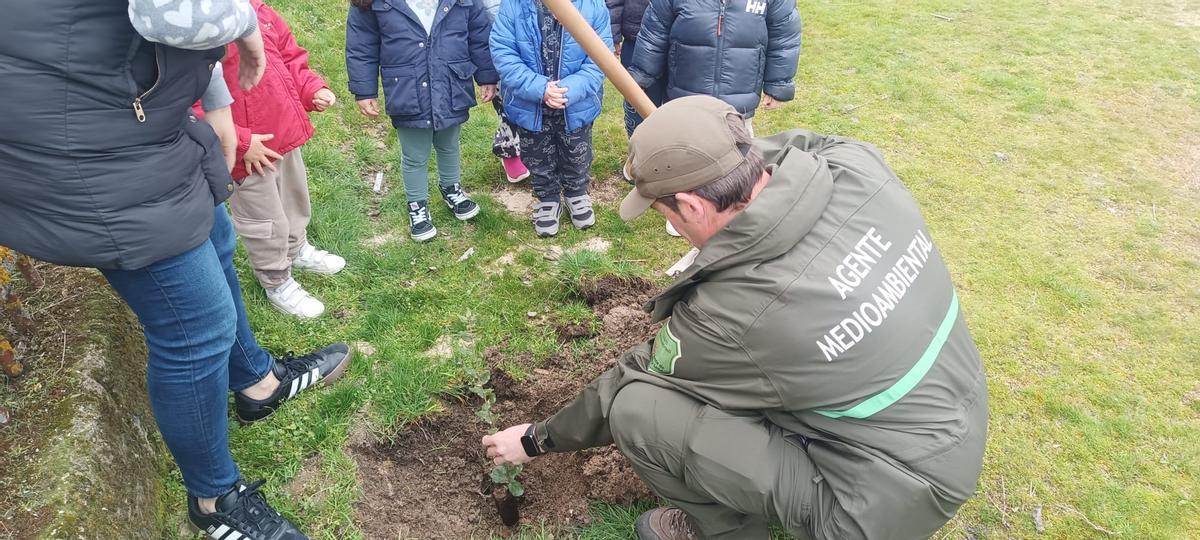 GALERÍA | Día del Árbol en Sayago con plantación de encinas y alcornoques GALERÍA | Día del Árbol en Sayago con plantación de encinas y alcornoques