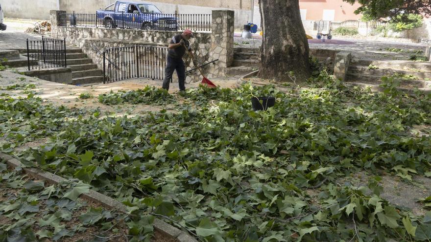 Limpieza y retirada de ramas y troncos caídos por un reventón térmico que azotó al parque de La Fuente de Chella