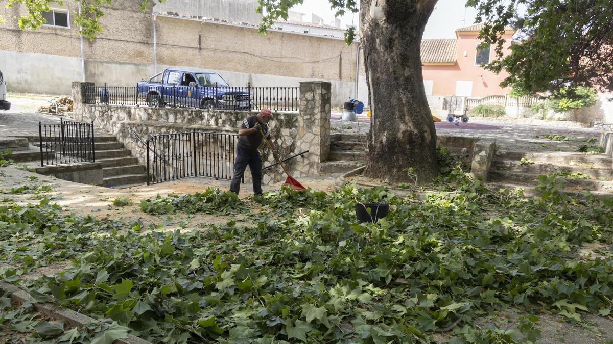 Limpieza y retirada de ramas y troncos caídos por un reventón térmico que azotó al parque de La Fuente de Chella