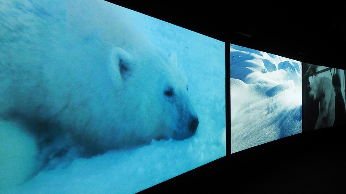 Muestra de la instalación 'Vertigo Sea', de John Akomfrah, en la Fundació Tàpies.