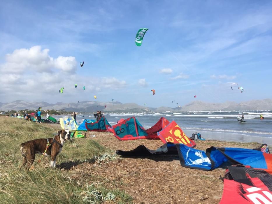 Medio centenar de kitesurfistas llenan la playa de es Barcarés de cometas