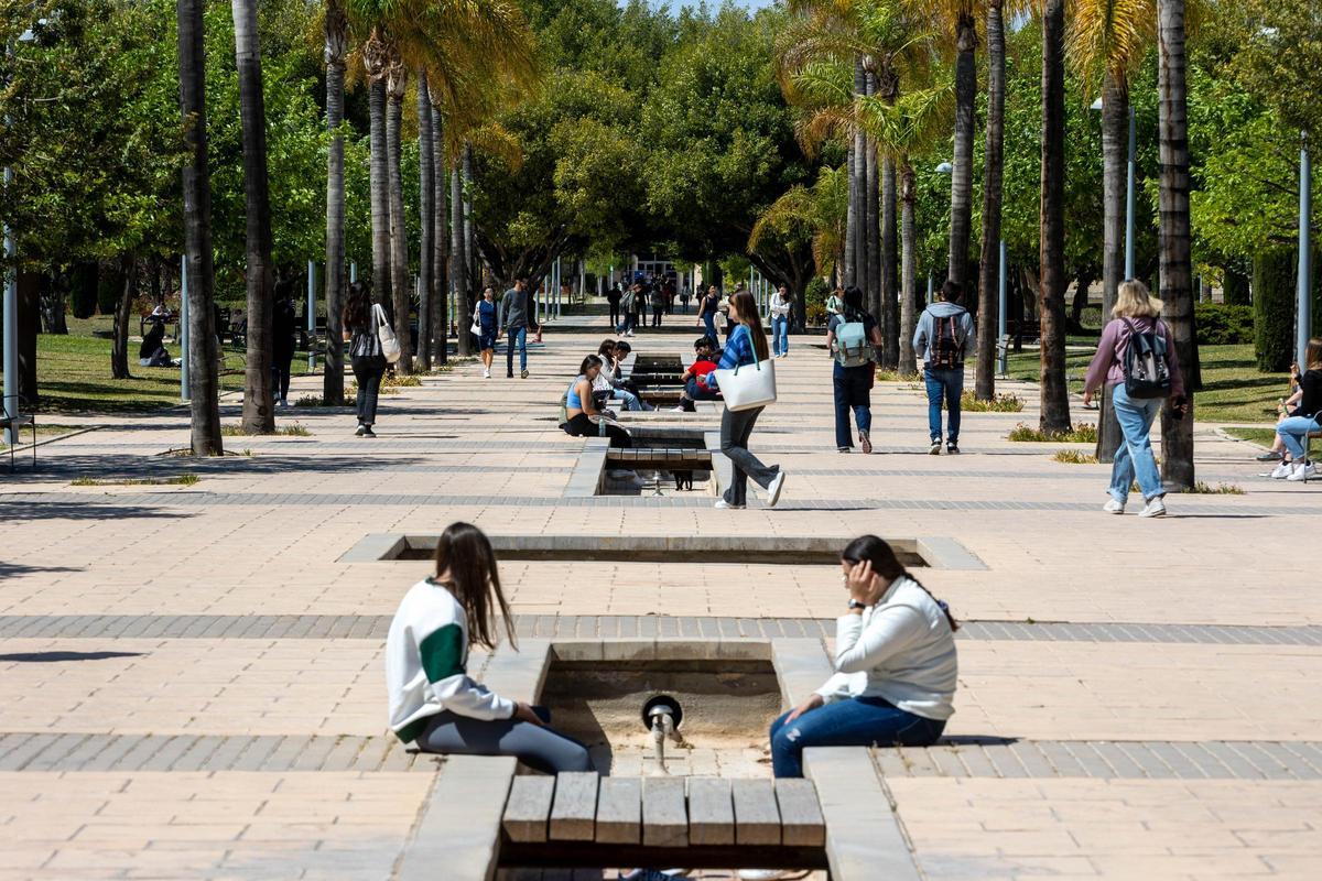 El campus de la UA tendrá inversiones el próximo año para infraestructuras y equipamientos