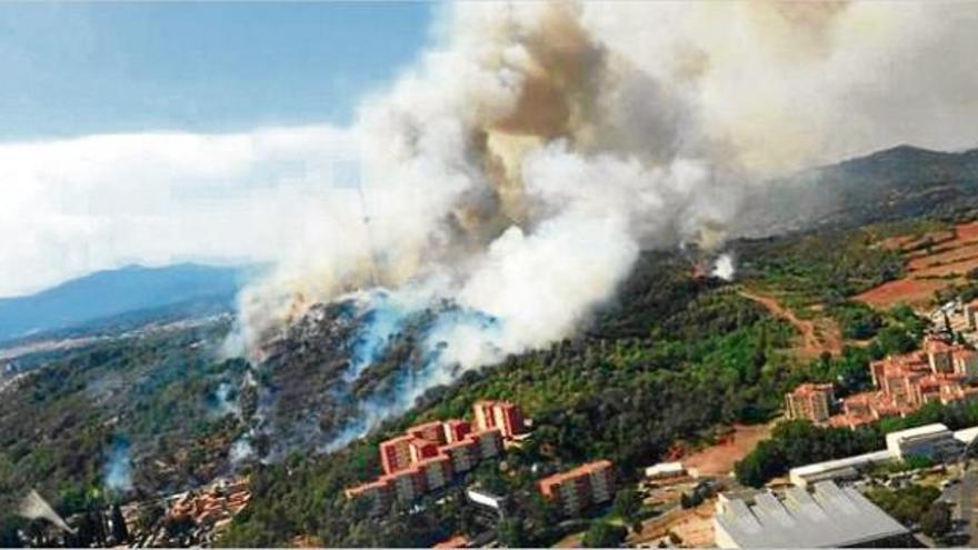 Un espai verd molt castigat per reiterats incendis provocats