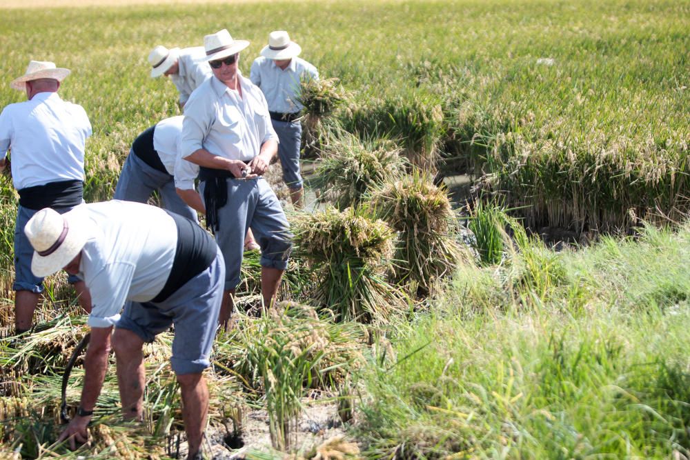 Fiesta de la Siega del Arroz