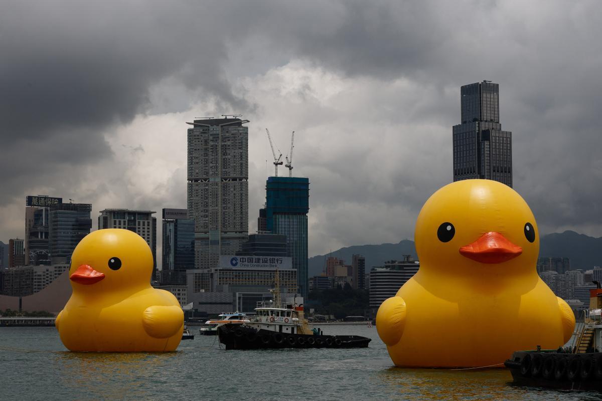 Los patos de goma del artista Florentijn Hofman, en el puerto de Hong Kong