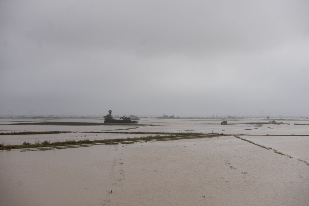 Vista de l'Albufera y los campos de arroz inundados.